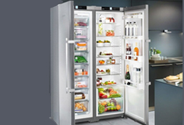 LIEBHERR SBSef 7242独立式对开门冰箱