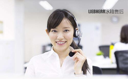 LIEBHERR售后