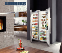 LIEBHERR德国原装进口独立式对开门冰箱 SBSes7253